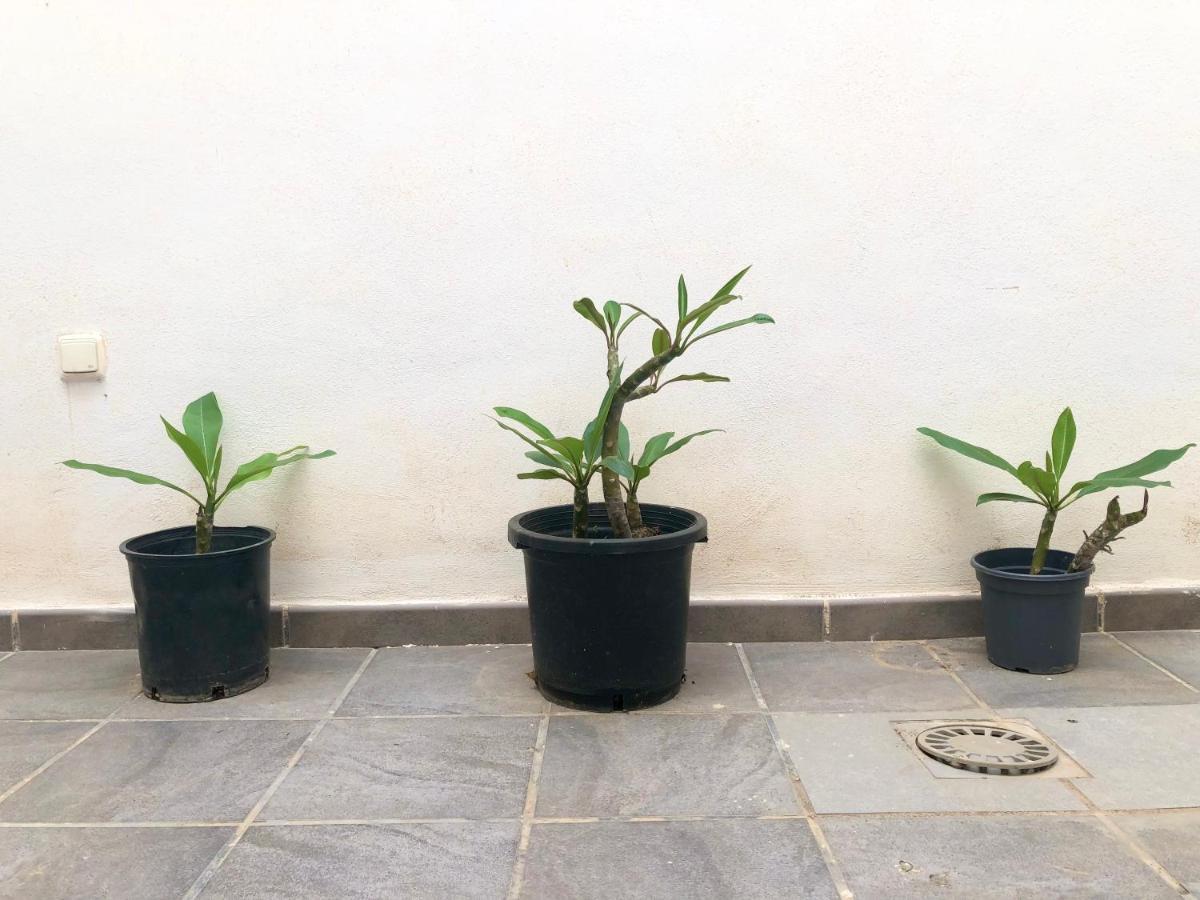 Varela Apartamentos B 马拉加 外观 照片